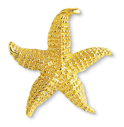 Starfish Pin 