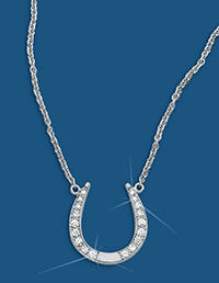 Horseshoe Diamond Necklace 17