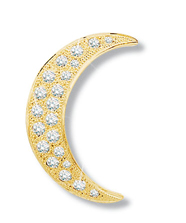 Crescent Moon Diamond Pin 